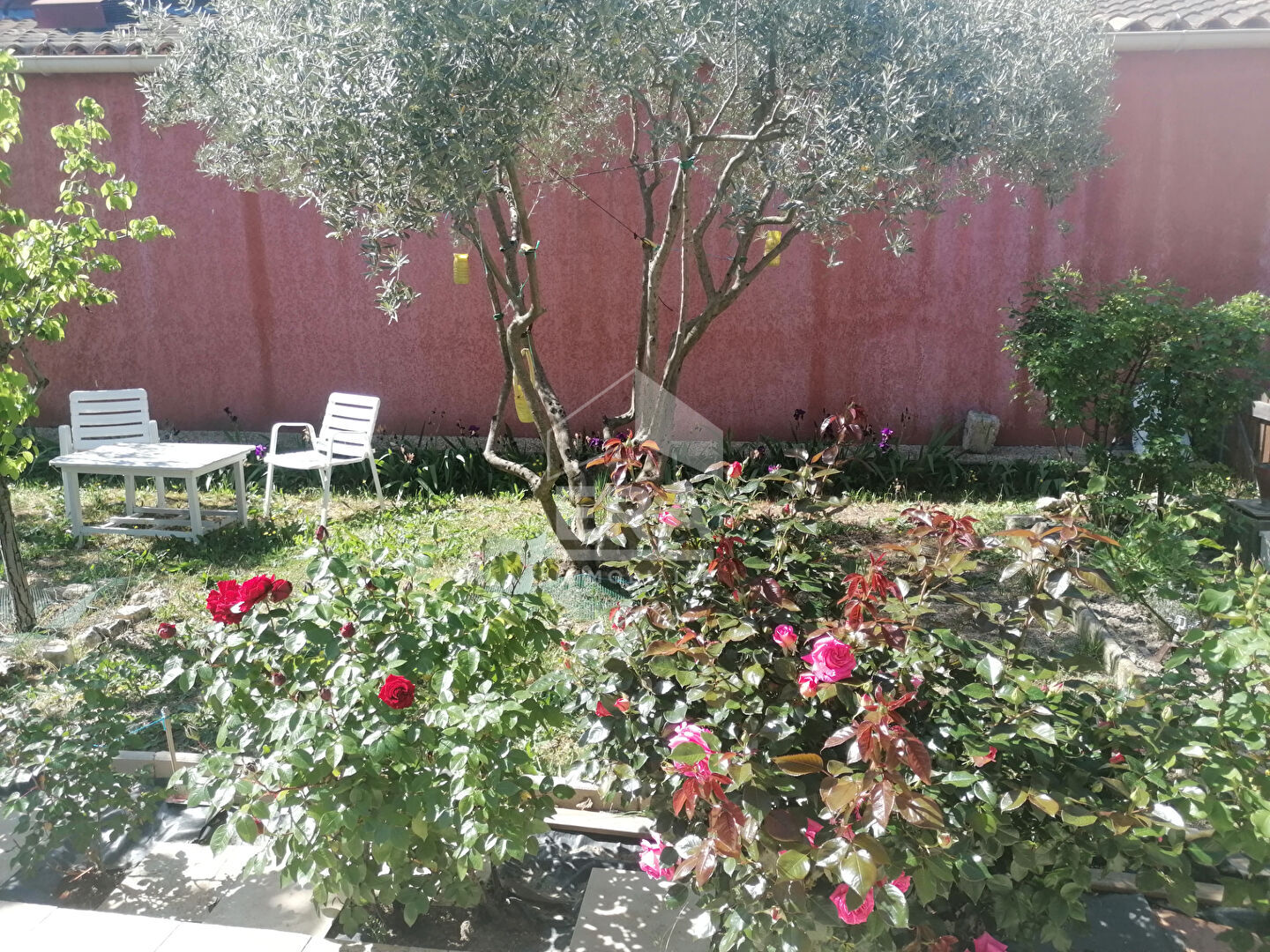 Photo Maison plain-pied AIX-OUEST  T4 image 2/6