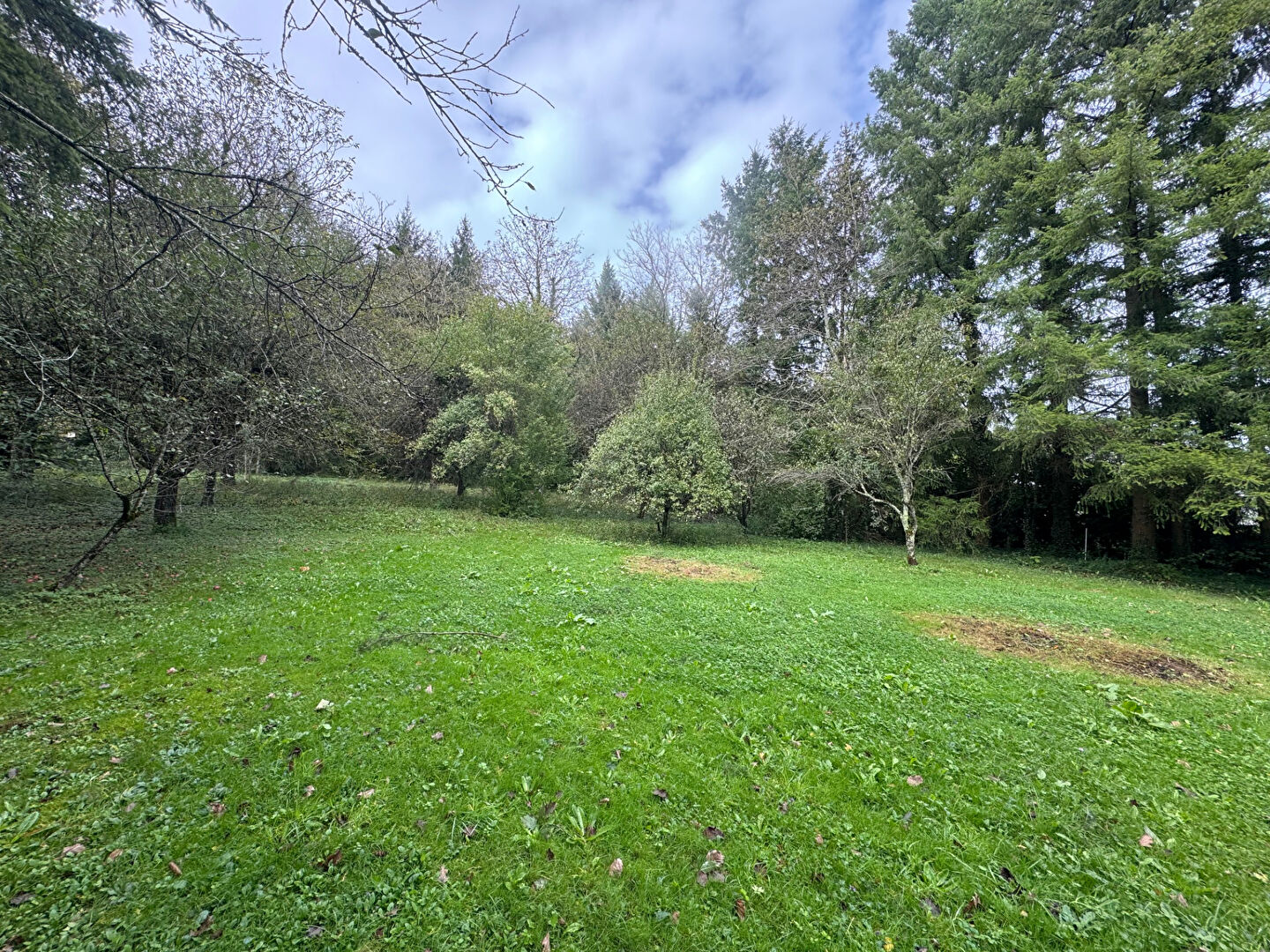 Agence immobilière de IMMOFLORE Besancon