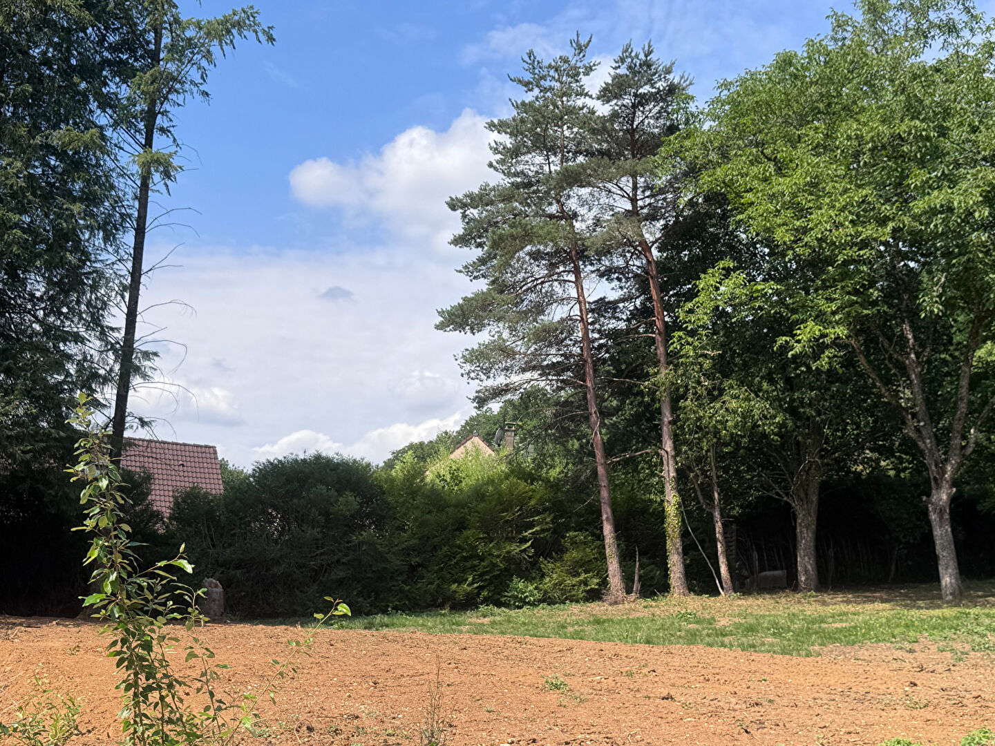 Agence immobilière de IMMOFLORE Besancon