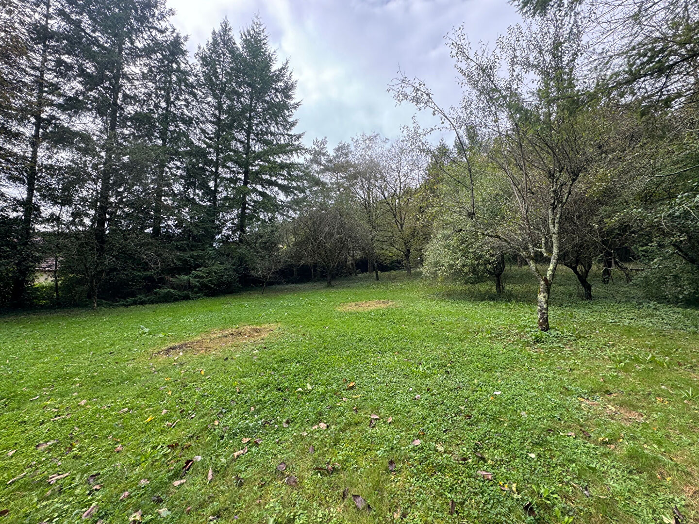 Photo Superbe terrain à NOVILLARS image 4/6