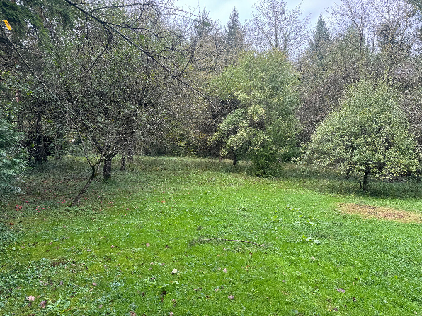 Photo Superbe terrain à NOVILLARS image 5/6