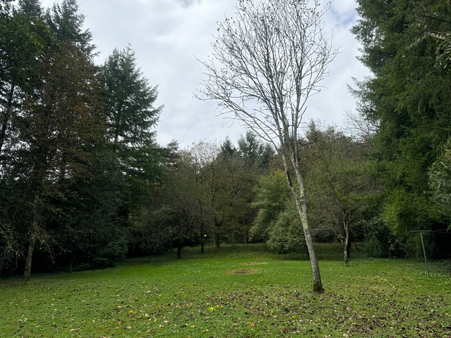 Photo Superbe terrain à NOVILLARS image 6/6