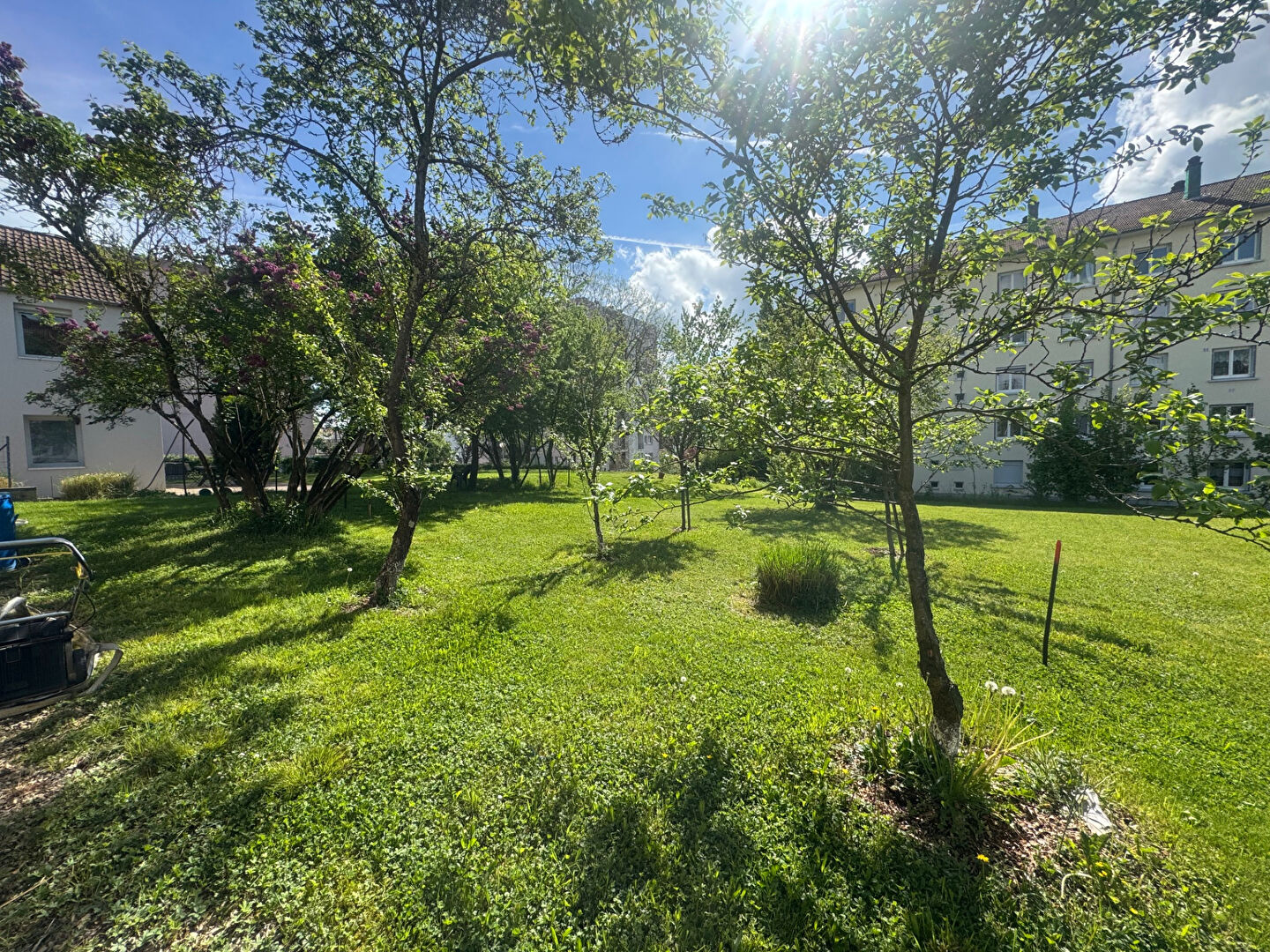 Agence immobilière de IMMOFLORE Besancon