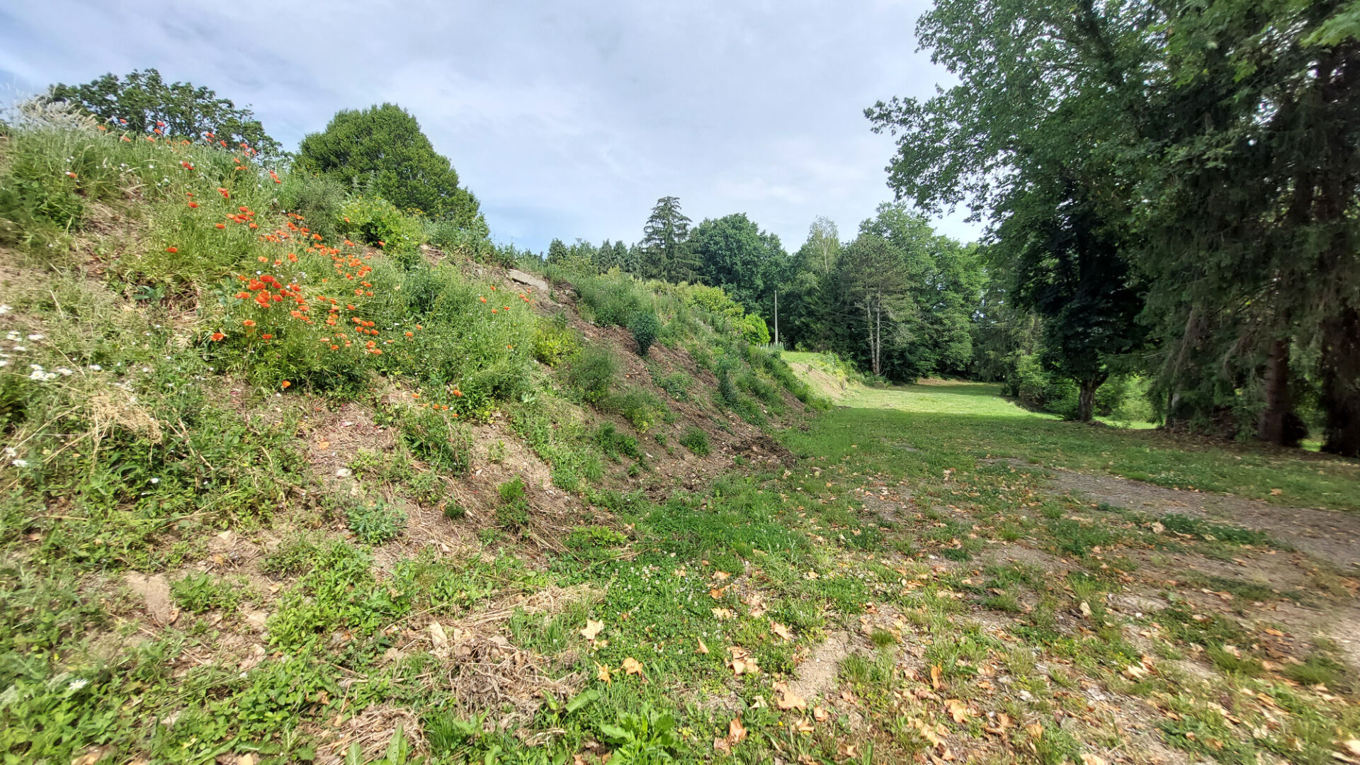 Photo TERRAIN CONSTRUCTIBLE FEYTIAT - 2400 m2 image 5/6