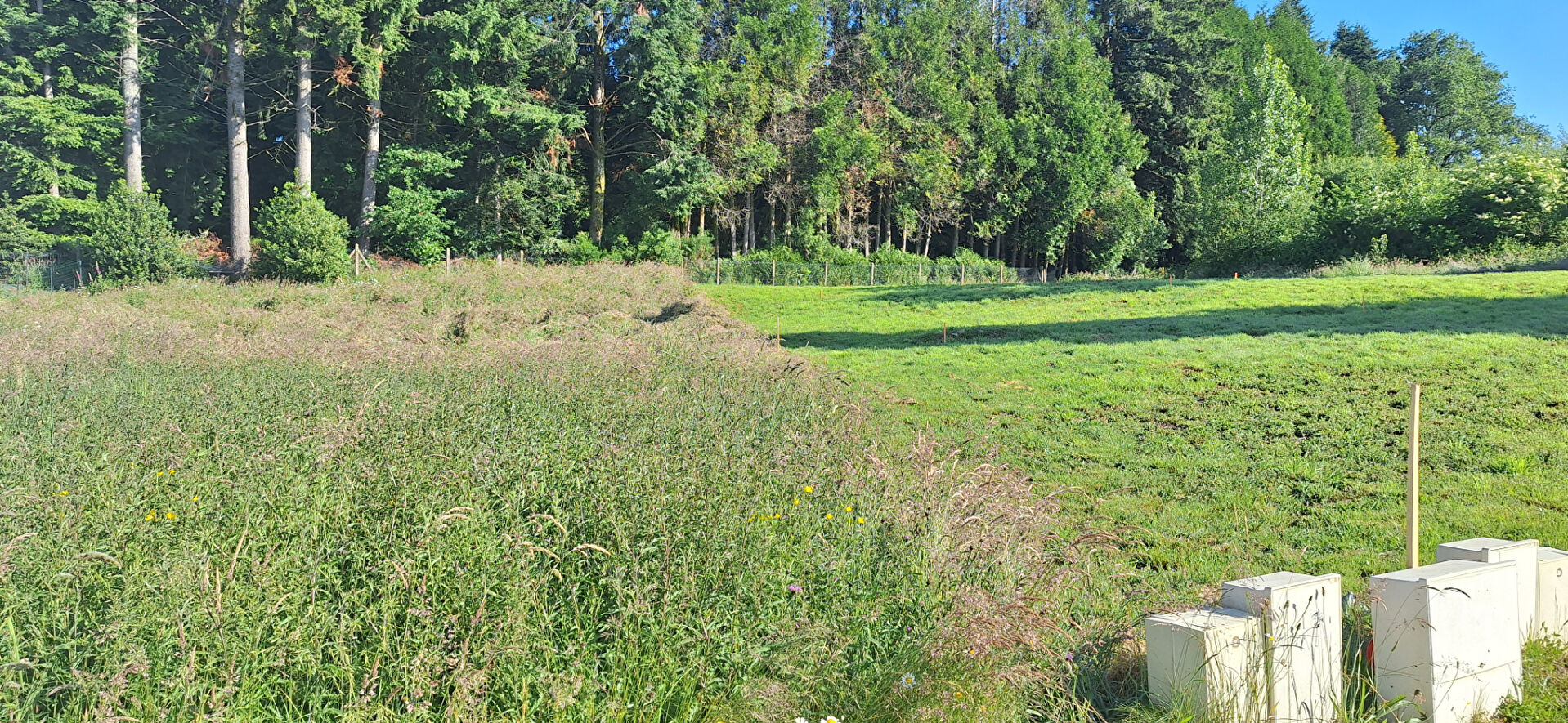 TERRAIN CONSTRUCTIBLE COUZEIX - 879 m2