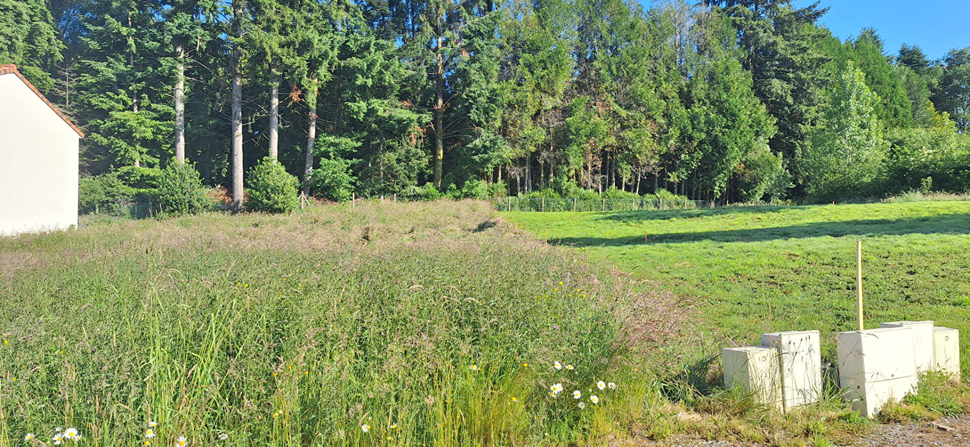 Photo TERRAIN CONSTRUCTIBLE COUZEIX - 879 m2 image 2/2