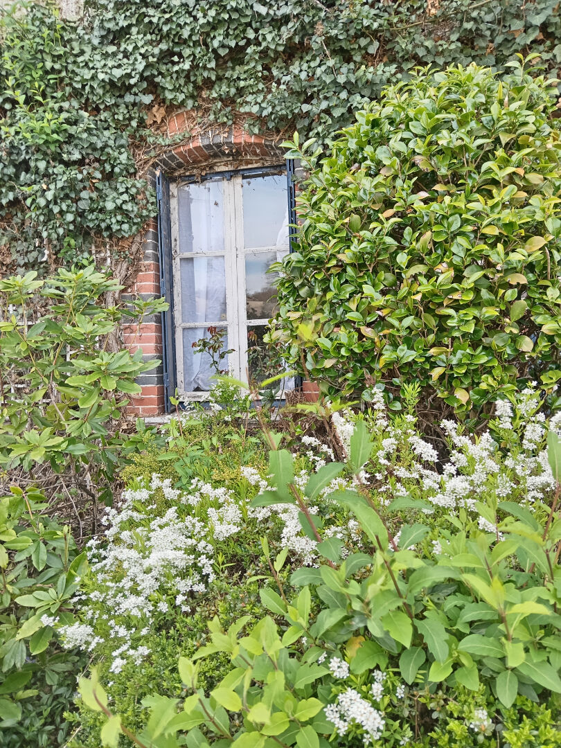 Photo Maison Bujaleuf 4 pièce(s) 60 m2 image 4/6