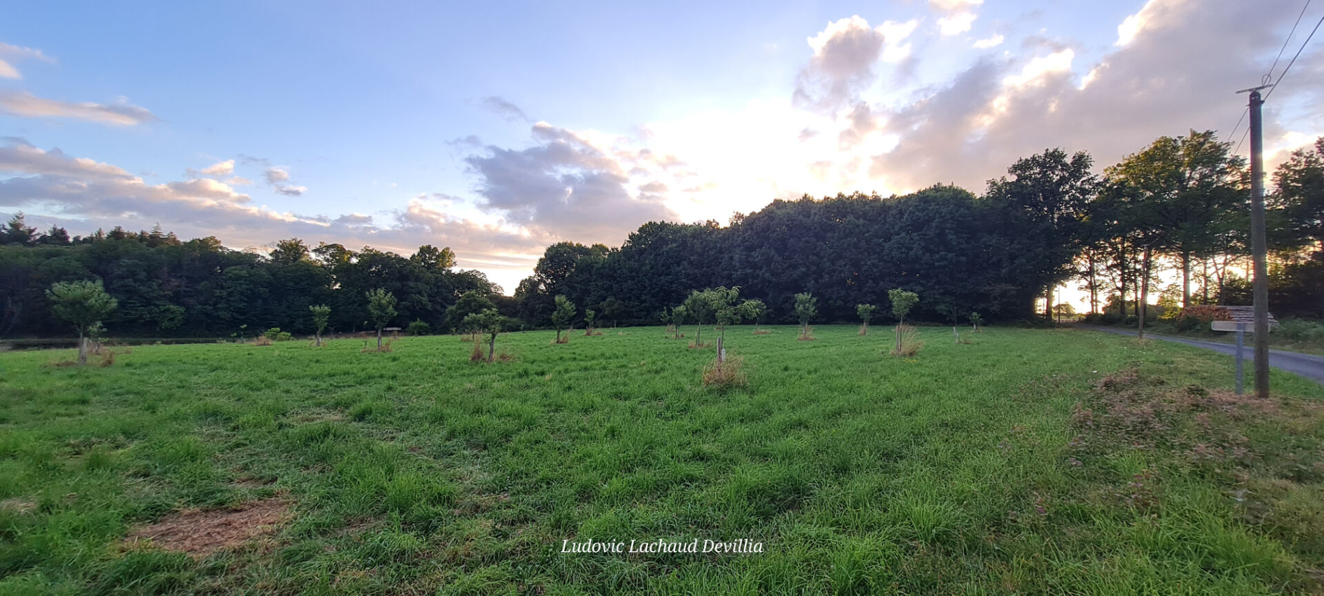 Photo Terrain constructible de 7600 m2 image 3/3