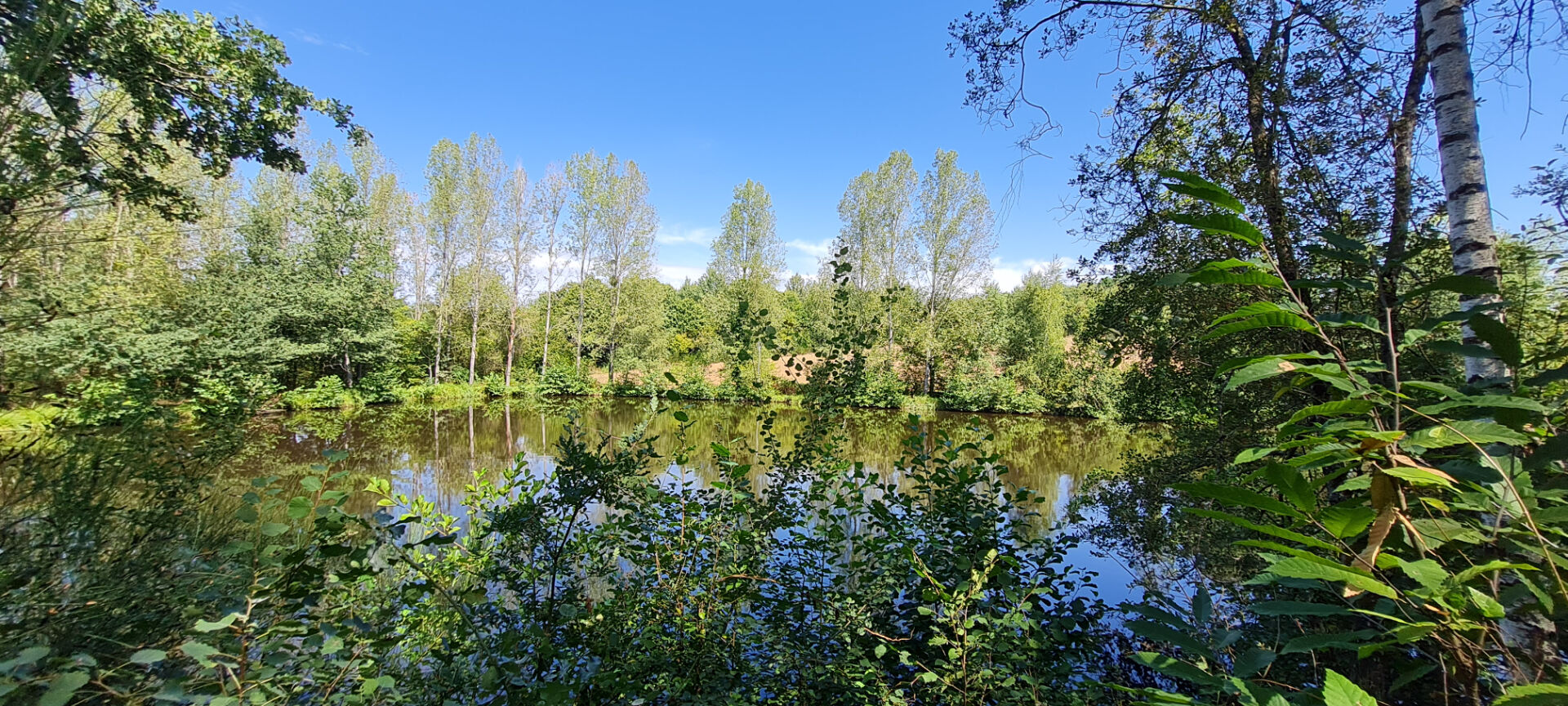 Photo Terrain non constructible avec étang. image 2/6