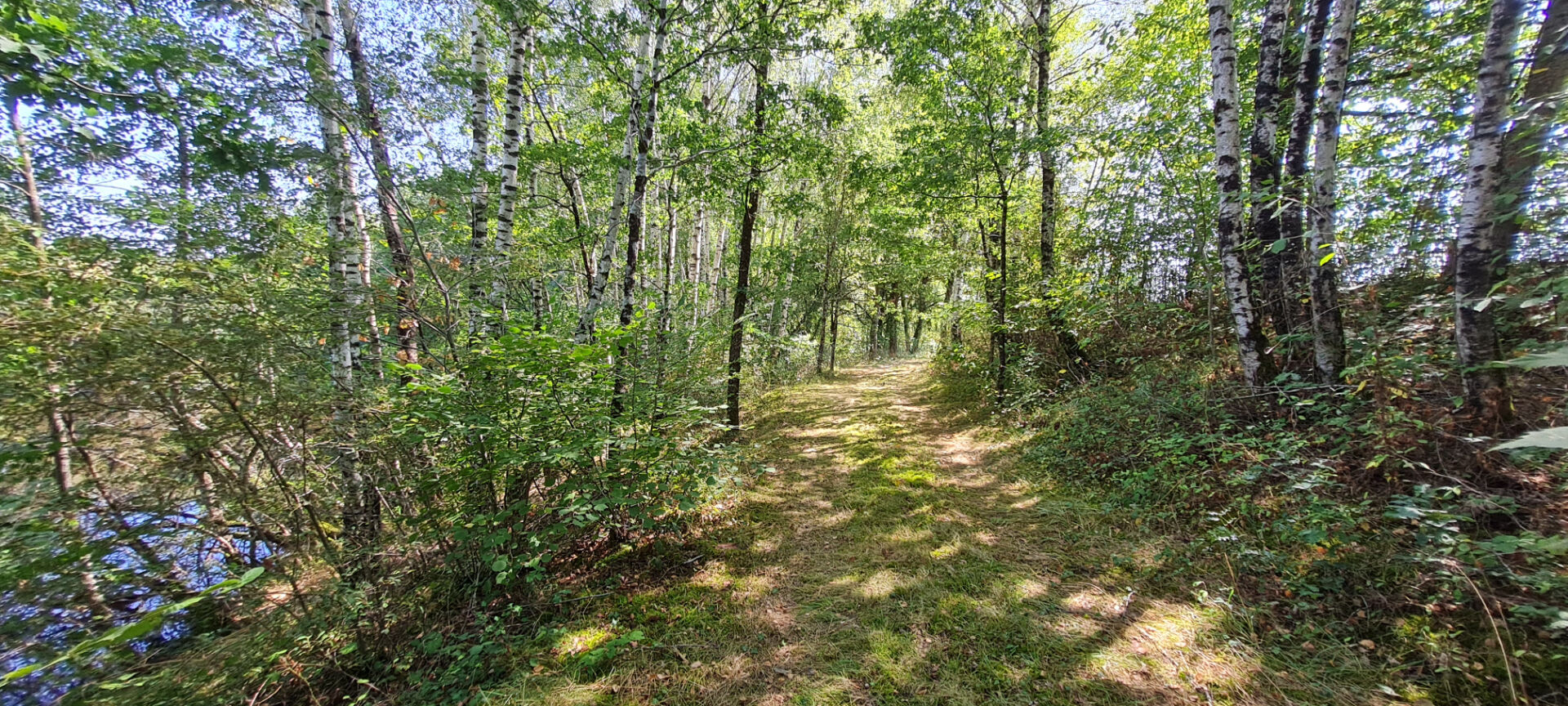 Photo Terrain non constructible avec étang. image 3/6