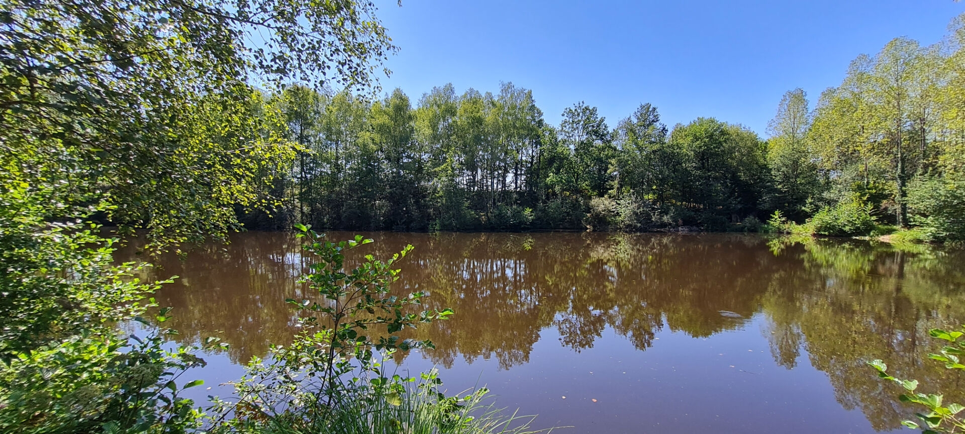 Photo Terrain non constructible avec étang. image 4/6