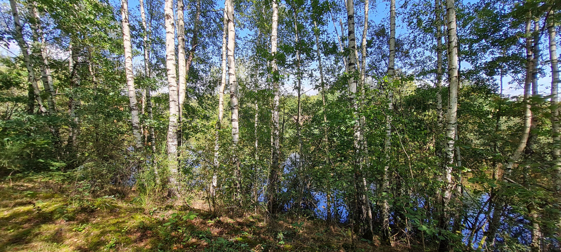 Photo Terrain non constructible avec étang. image 5/6