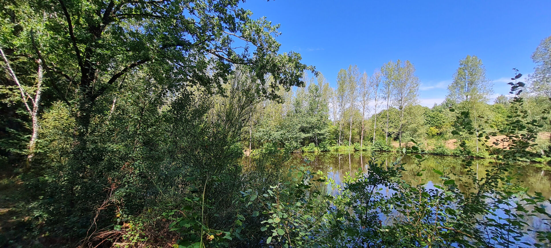 Photo Terrain non constructible avec étang. image 6/6