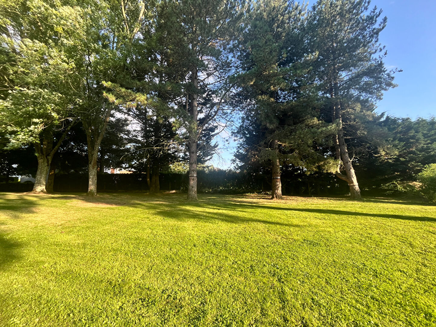 Photo Maison Magnac Laval 7 pièce(s) 158 m2 image 4/6