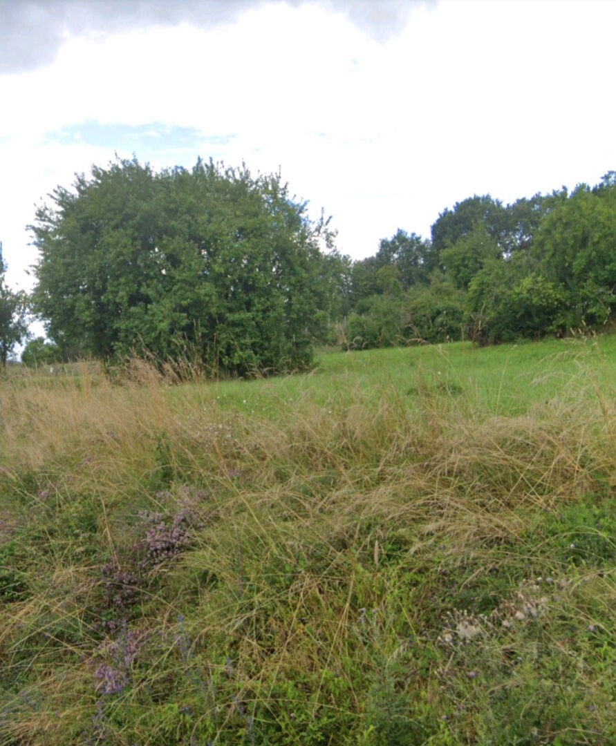 Photo Terrain Preyssac d'Excideuil 4230 m2 image 5/5