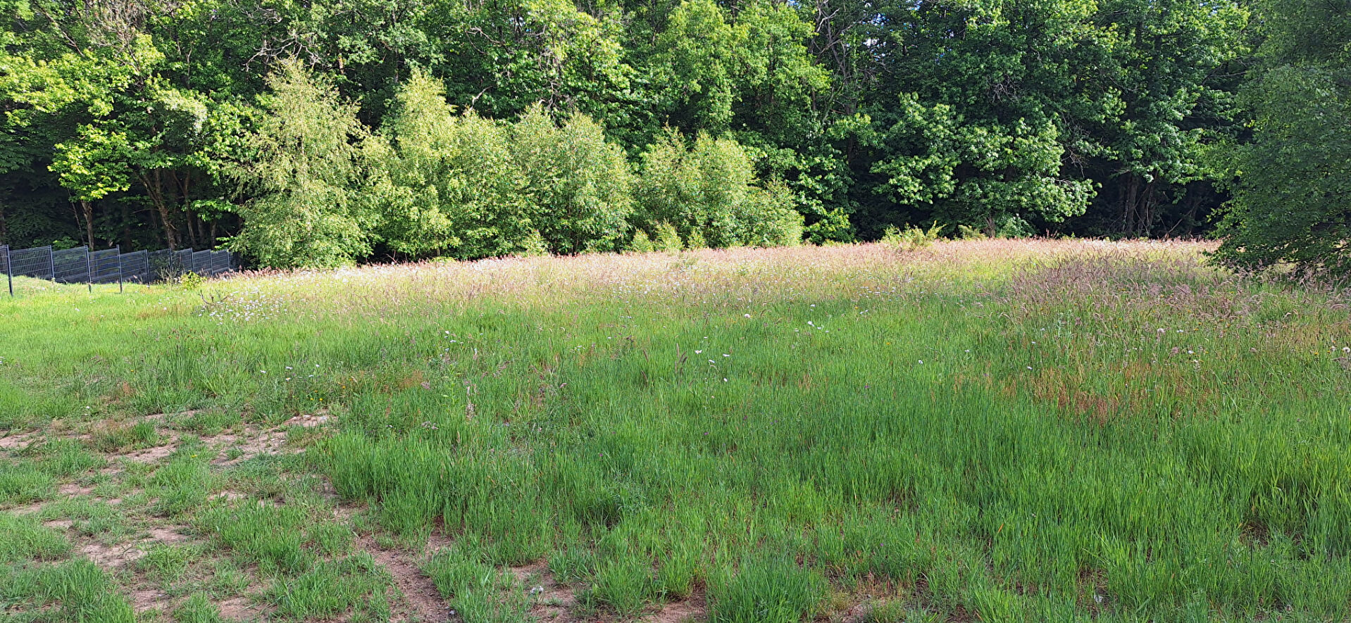 Photo Terrain constructible de 1212 m² image 1/4