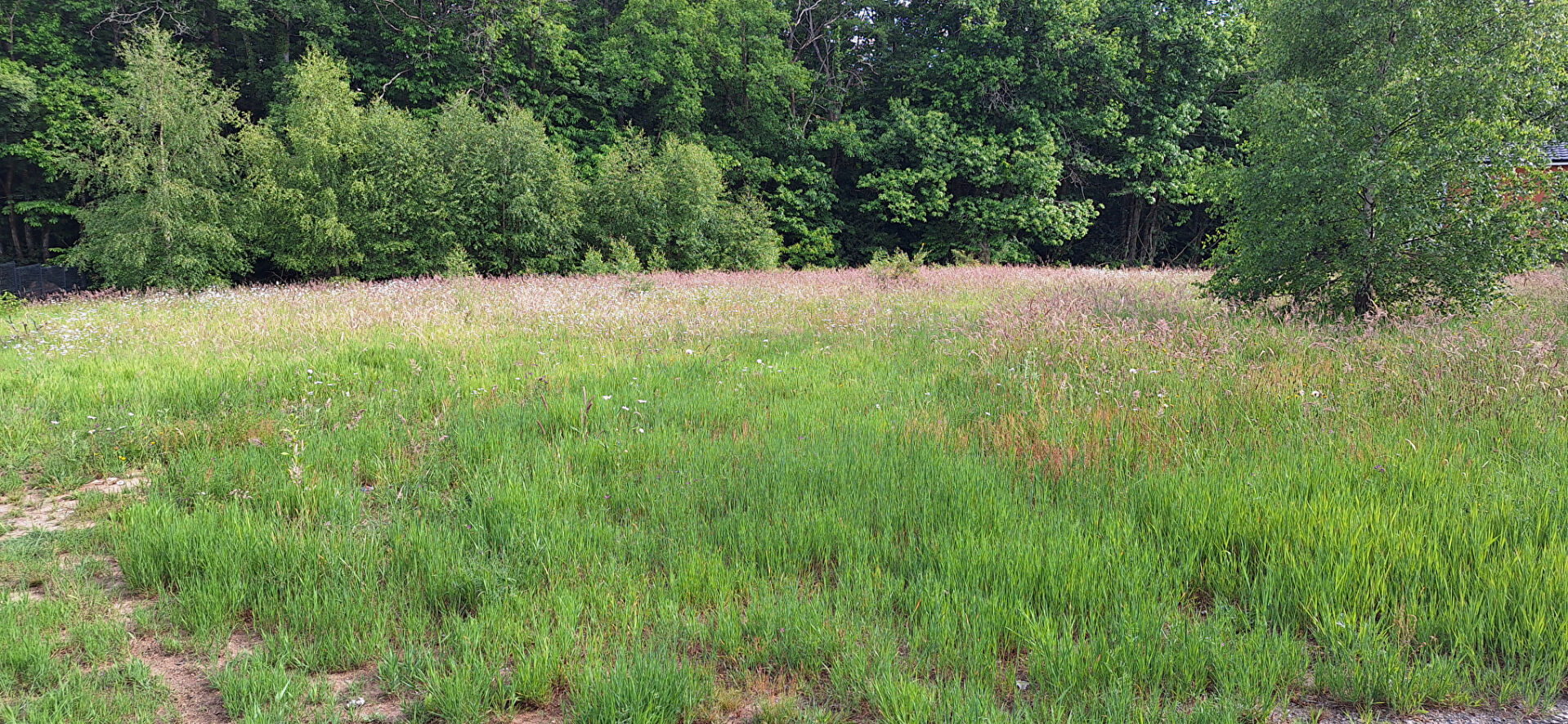 Photo Terrain constructible de 1212 m² image 4/4