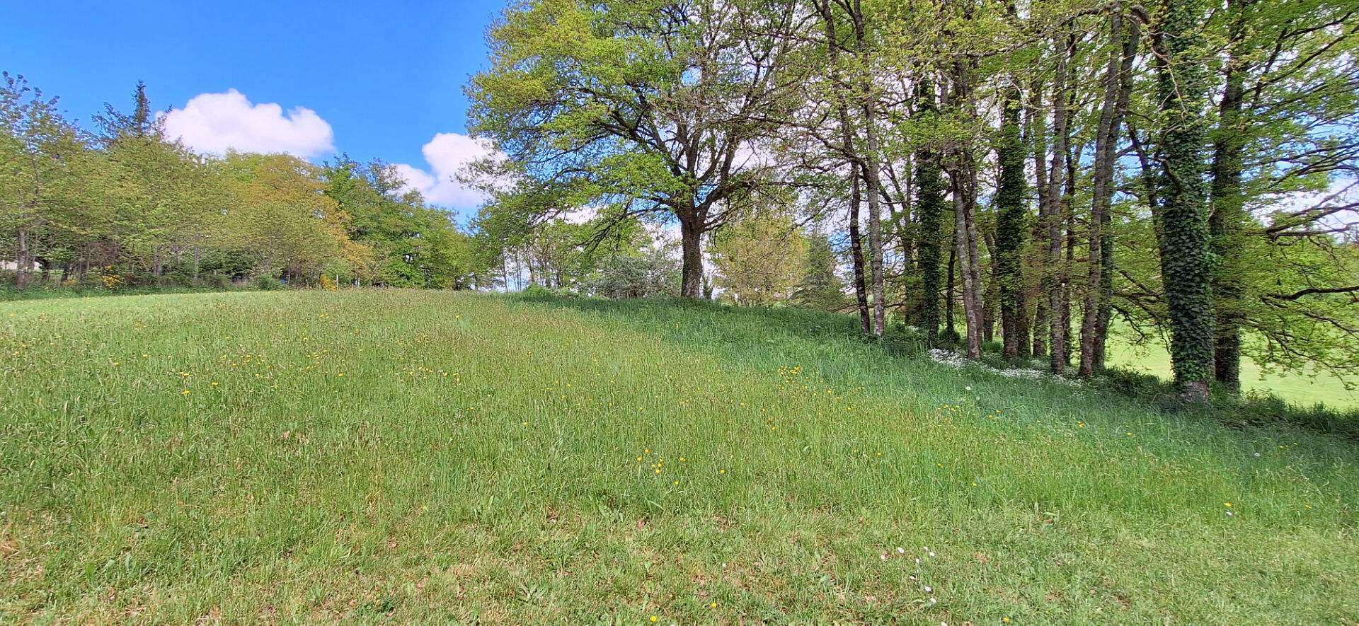 Photo AIXE SUR VIENNE terrain de 16802 m² image 2/6