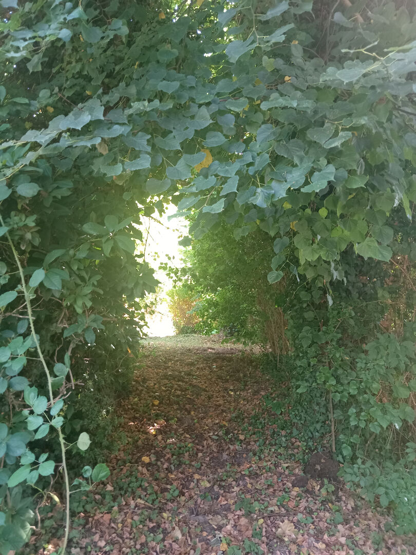 Photo Maison image 4/6