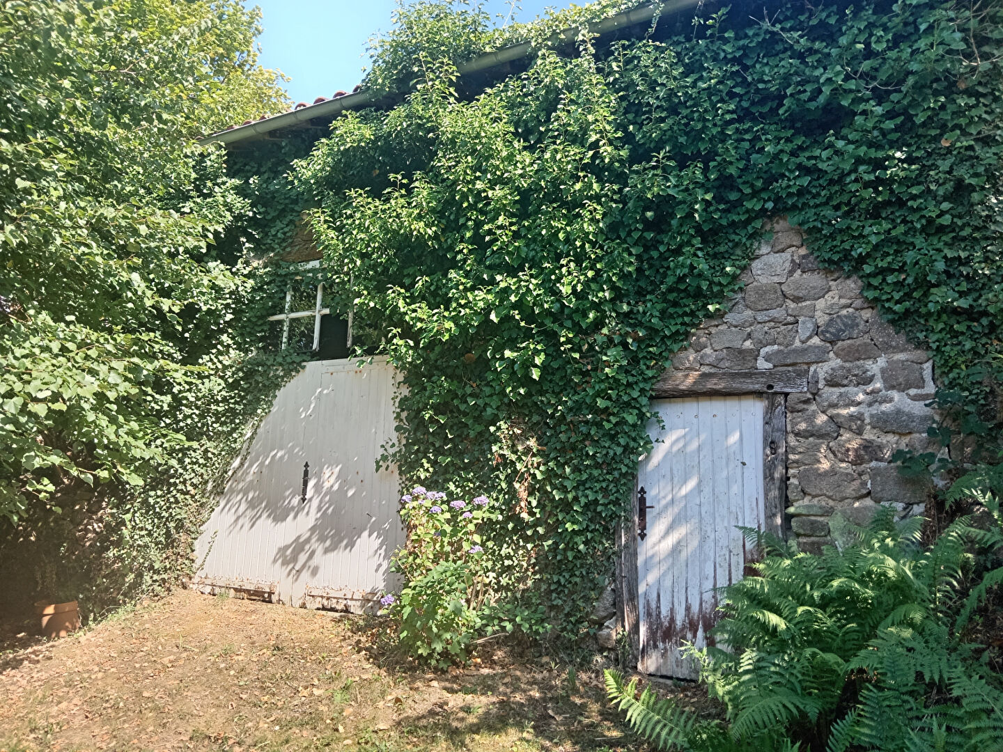 Photo Maison image 6/6