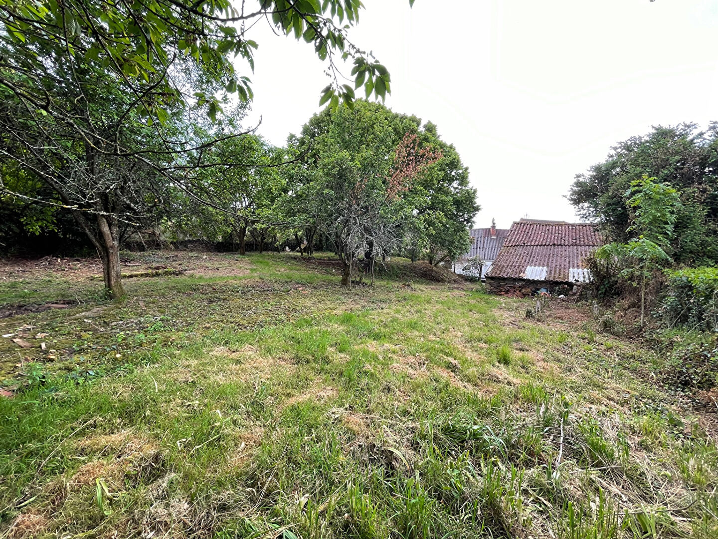 Photo GRANGE image 2/4