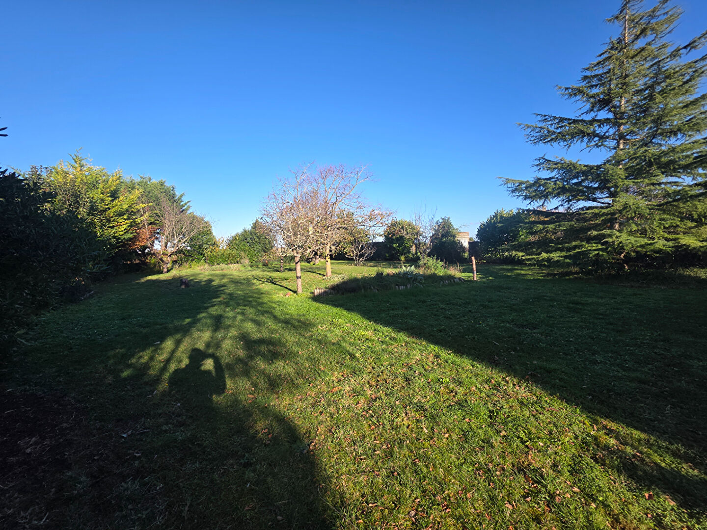 Agence immobilière de Immotis Fouras