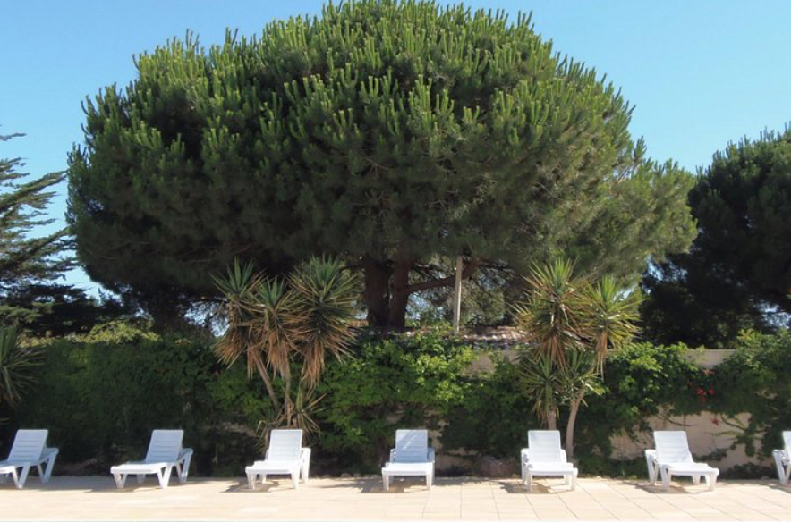 Agence immobilière de INFINI IMMO ,  PRO Golfe juan - INFINI IMMO ,  PRO