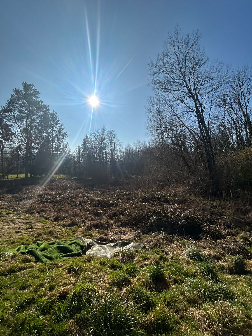 Terrain d'environ 20 ares en impasse