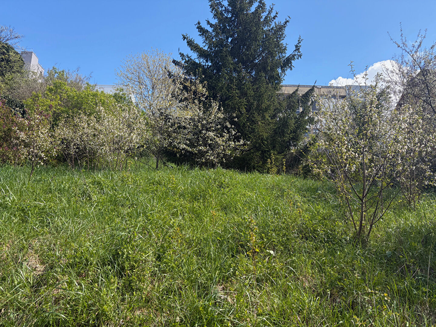 Agence immobilière de INNOV IMMOBILIER Saint-Vit