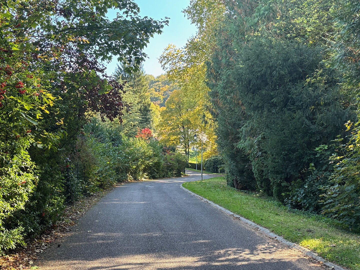 Photo Maison Devecey , lieu privilégié !178 m2 image 4/6