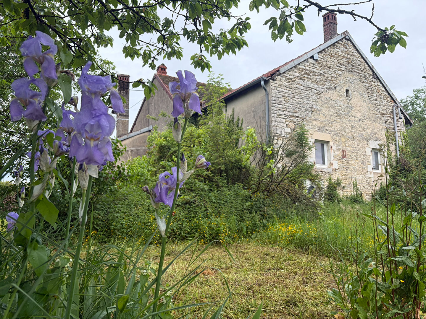 Agence immobilière de INNOV IMMOBILIER Saint-Vit