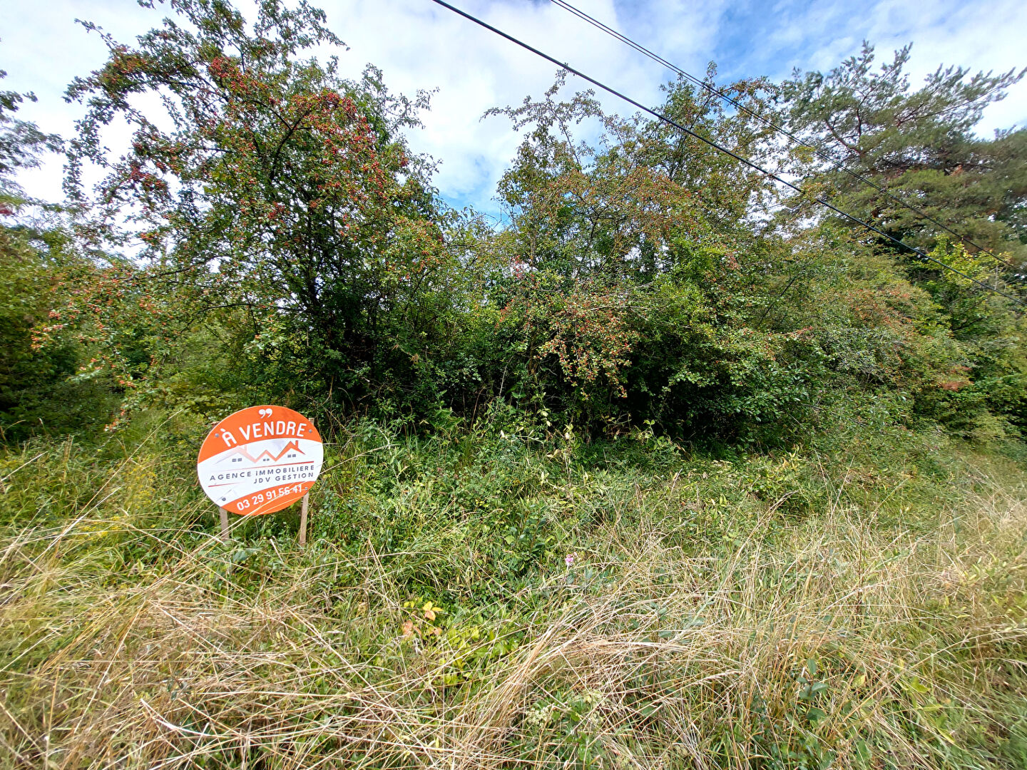 Photo Terrain Vaucouleurs 10231 m2 image 2/5