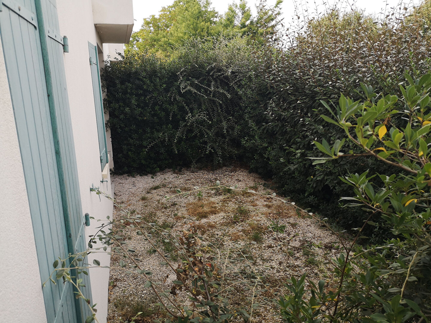 Photo APPARTEMENT T2 ECHILLAIS image 2/3