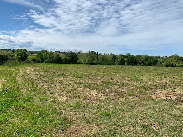 Agence immobilière de La Clé du Sud-Ouest