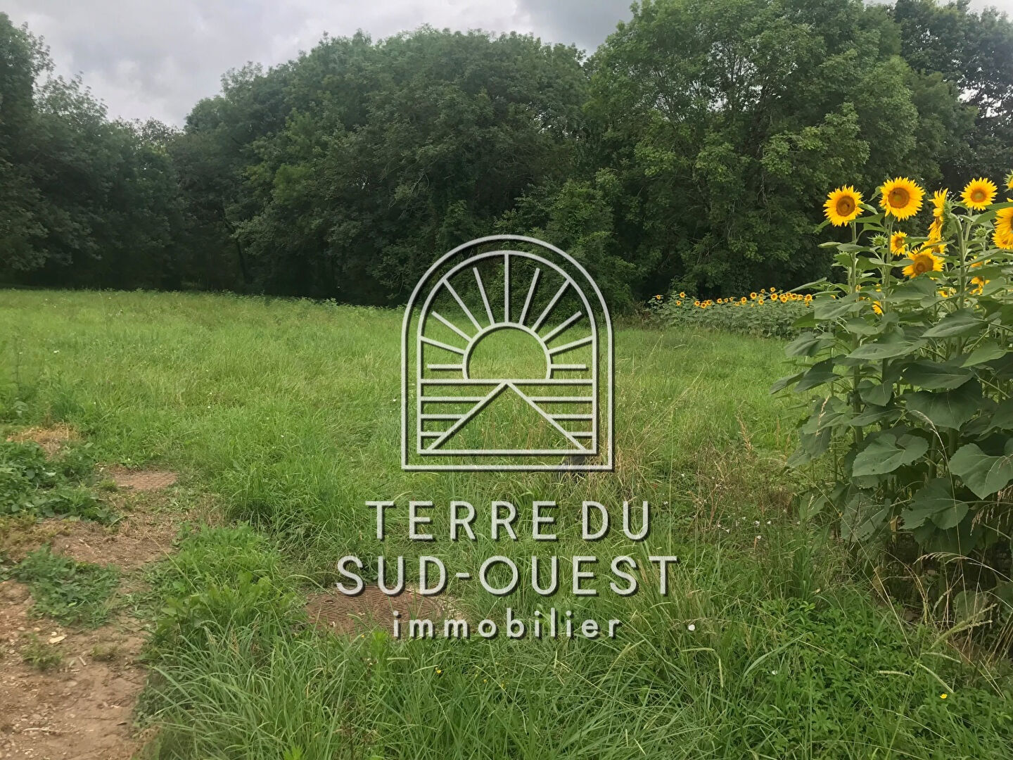 Agence immobilière de La Clé du Sud-Ouest