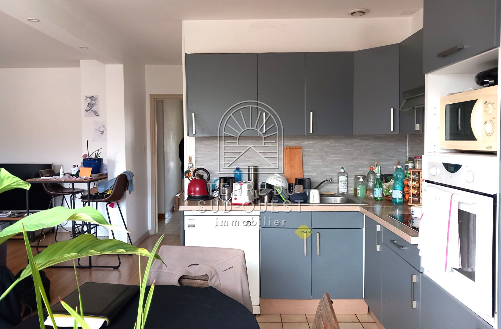 Agence immobilière de TERRE DU SUD-OUEST immobilier - Hagetmau