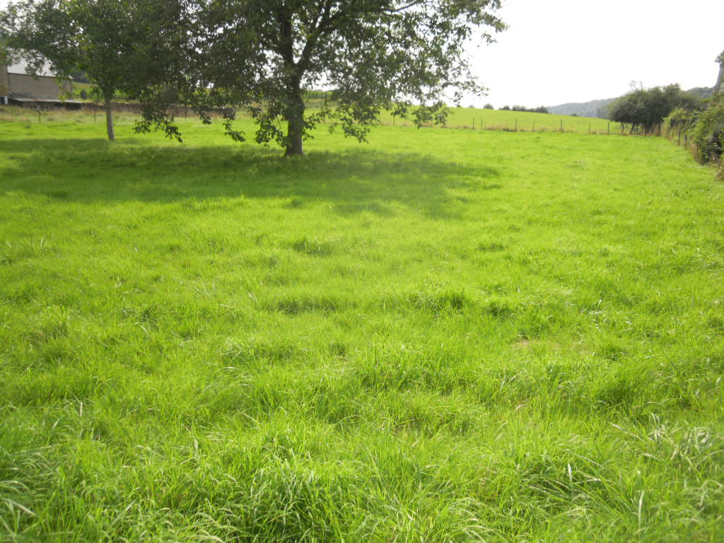 Terrain constructible de 1225 m2 à CLAVY WARBY