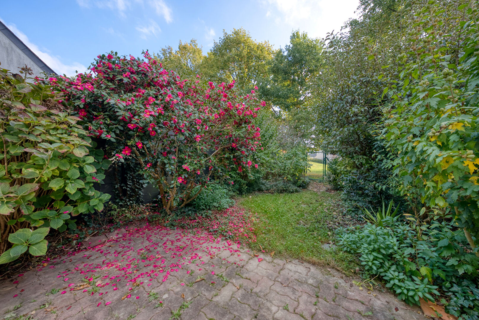 Photo Maison - Poterie image 4/6