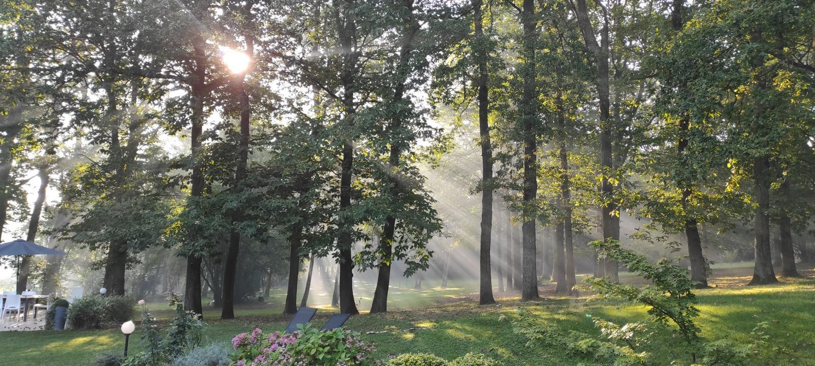 Photo Saint Prix, Propriété de prestige 350m2 habitables sur 20 500m2 de terrain. image 3/6