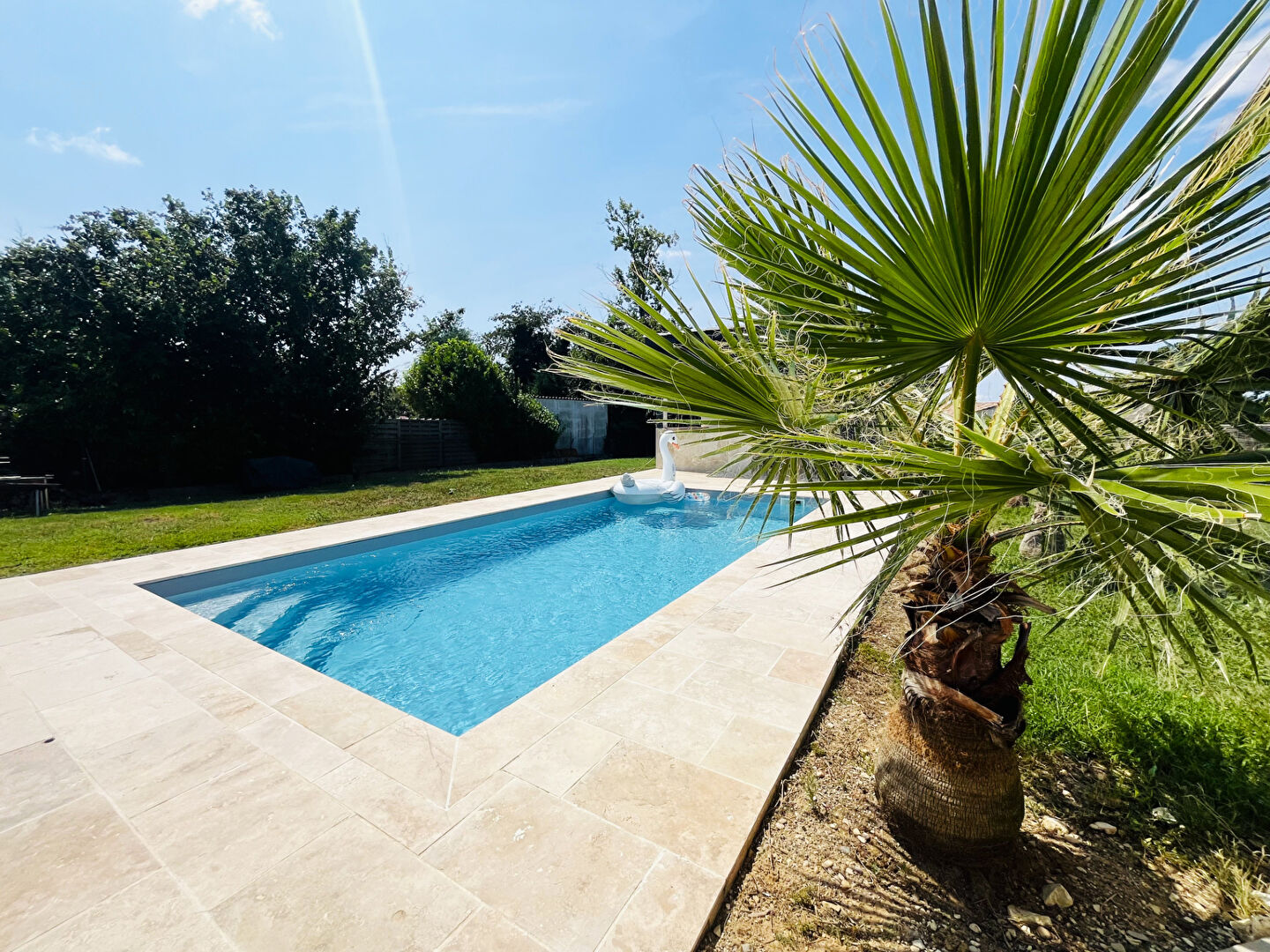 Photo Maison contemporaine de plain pied avec piscine et jardin. image 2/6