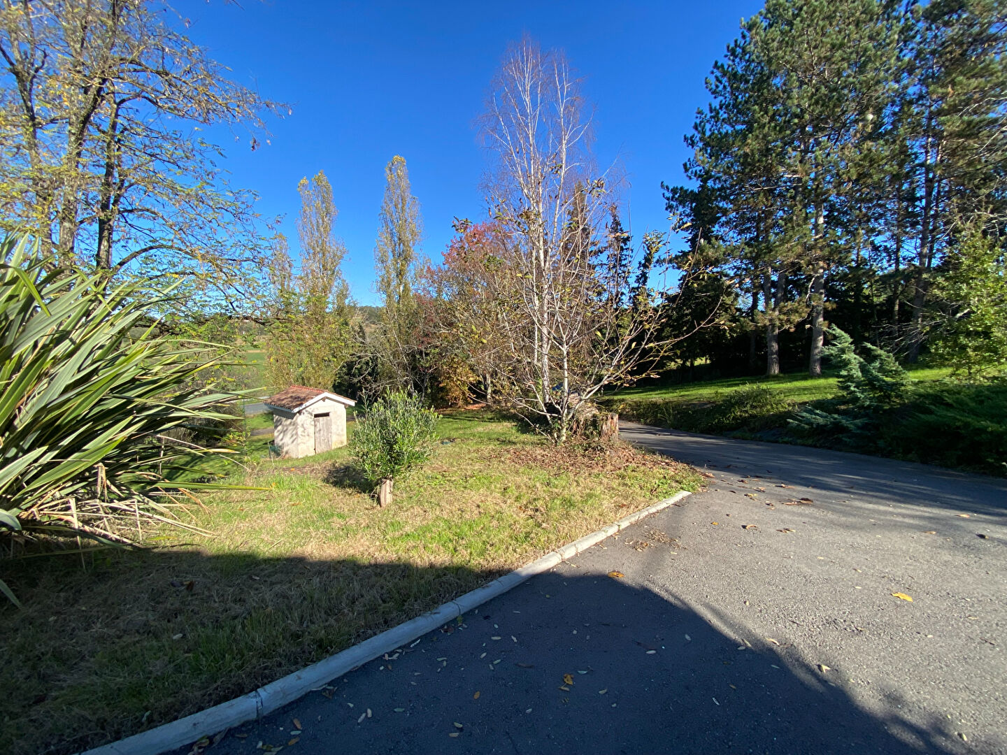 Photo Maison de plain pied à Villeneuve/Lot avec piscine image 4/6