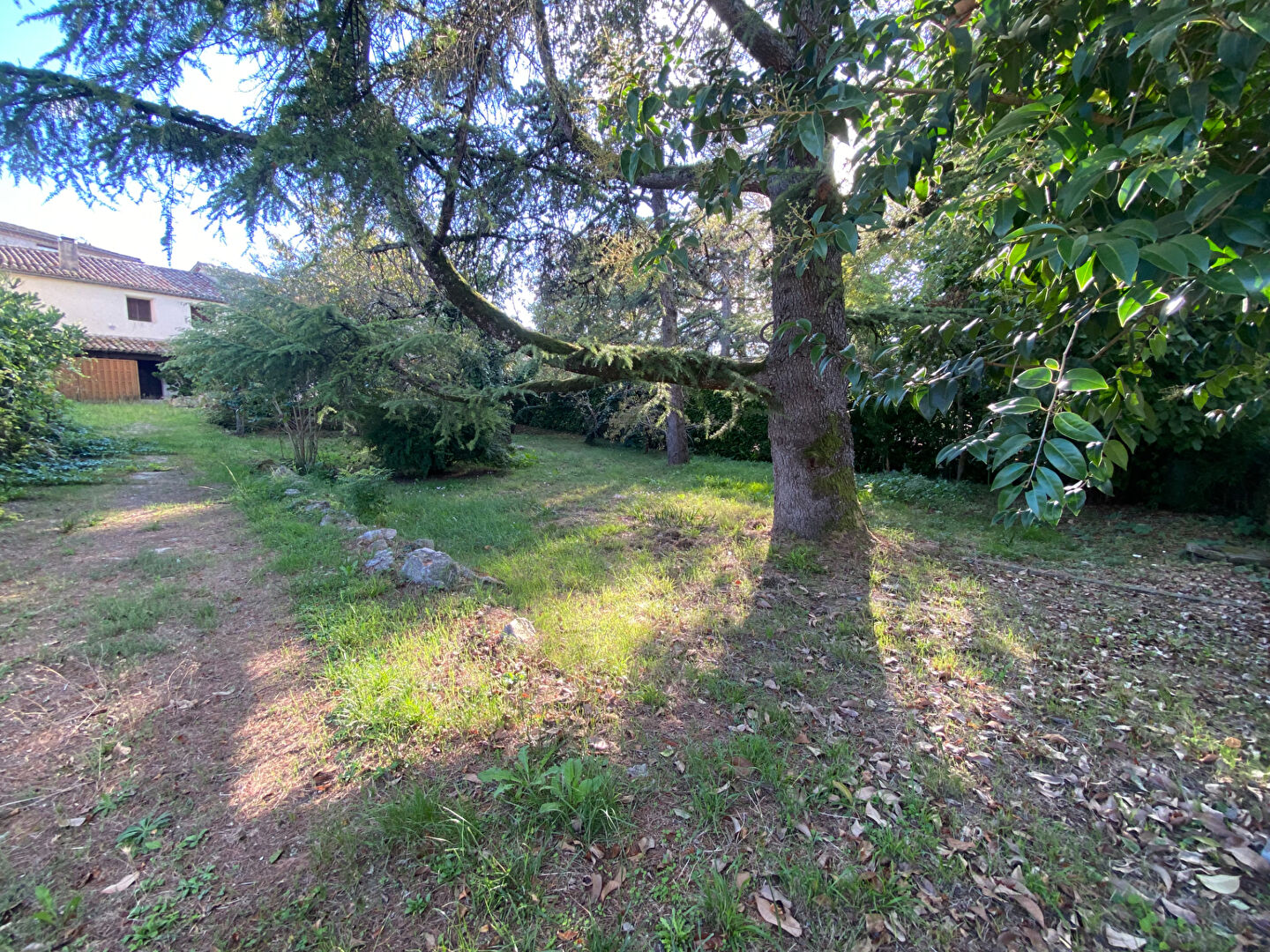 Photo Ensemble immobilier en pierre à Laroque Timbaut image 3/6