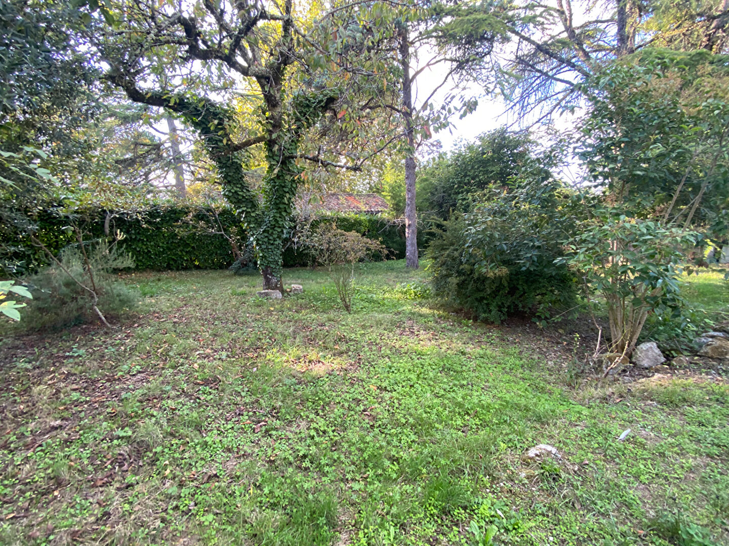 Photo Ensemble immobilier en pierre à Laroque Timbaut image 5/6