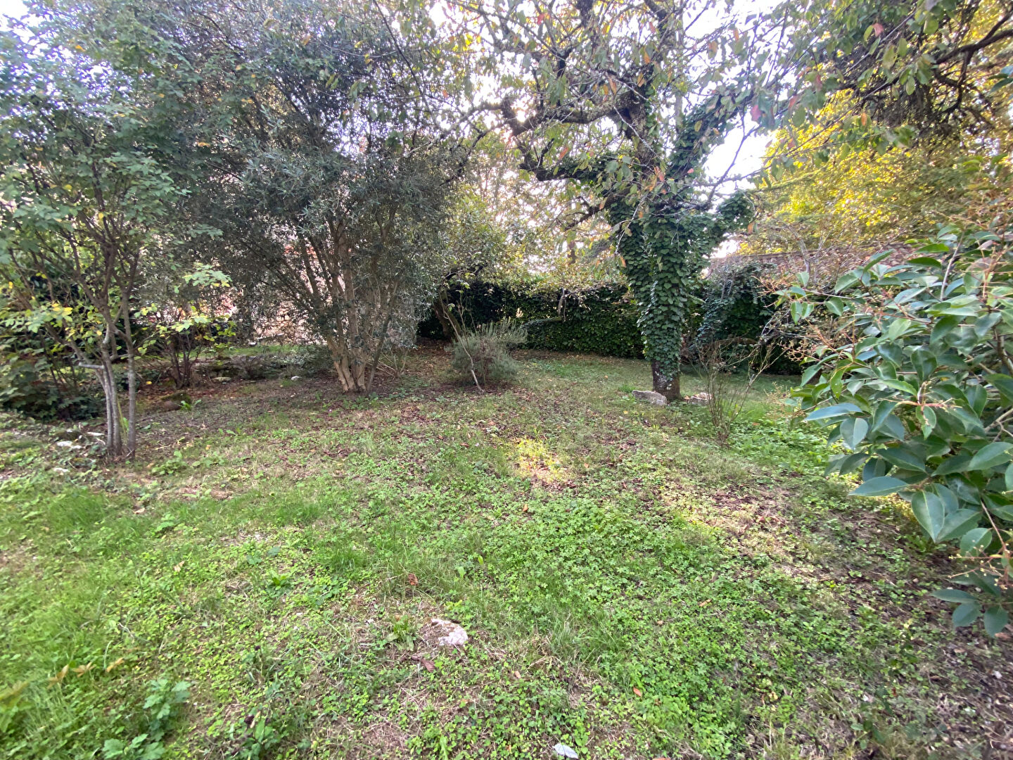 Photo Ensemble immobilier en pierre à Laroque Timbaut image 6/6