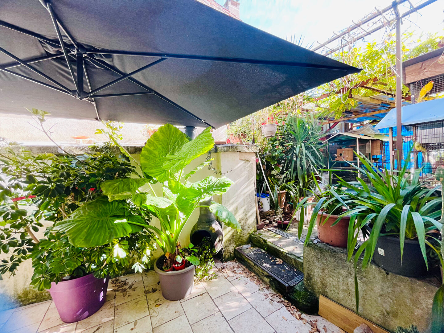 Agence immobilière de KRYS IMMO Villeneuve sur lot - KRYS' IMMO