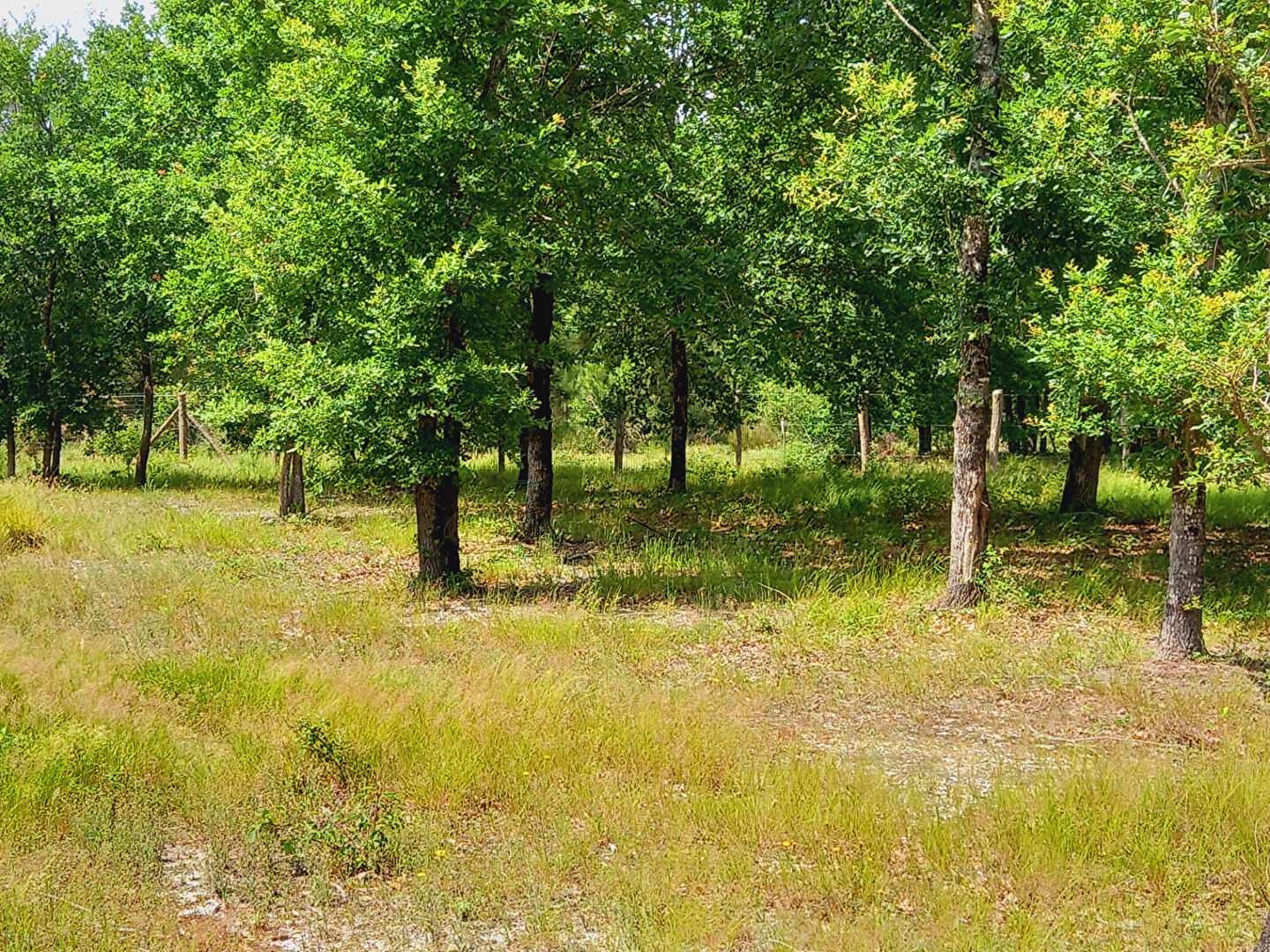 Agence immobilière de KRYS IMMO Villeneuve sur lot - KRYS' IMMO
