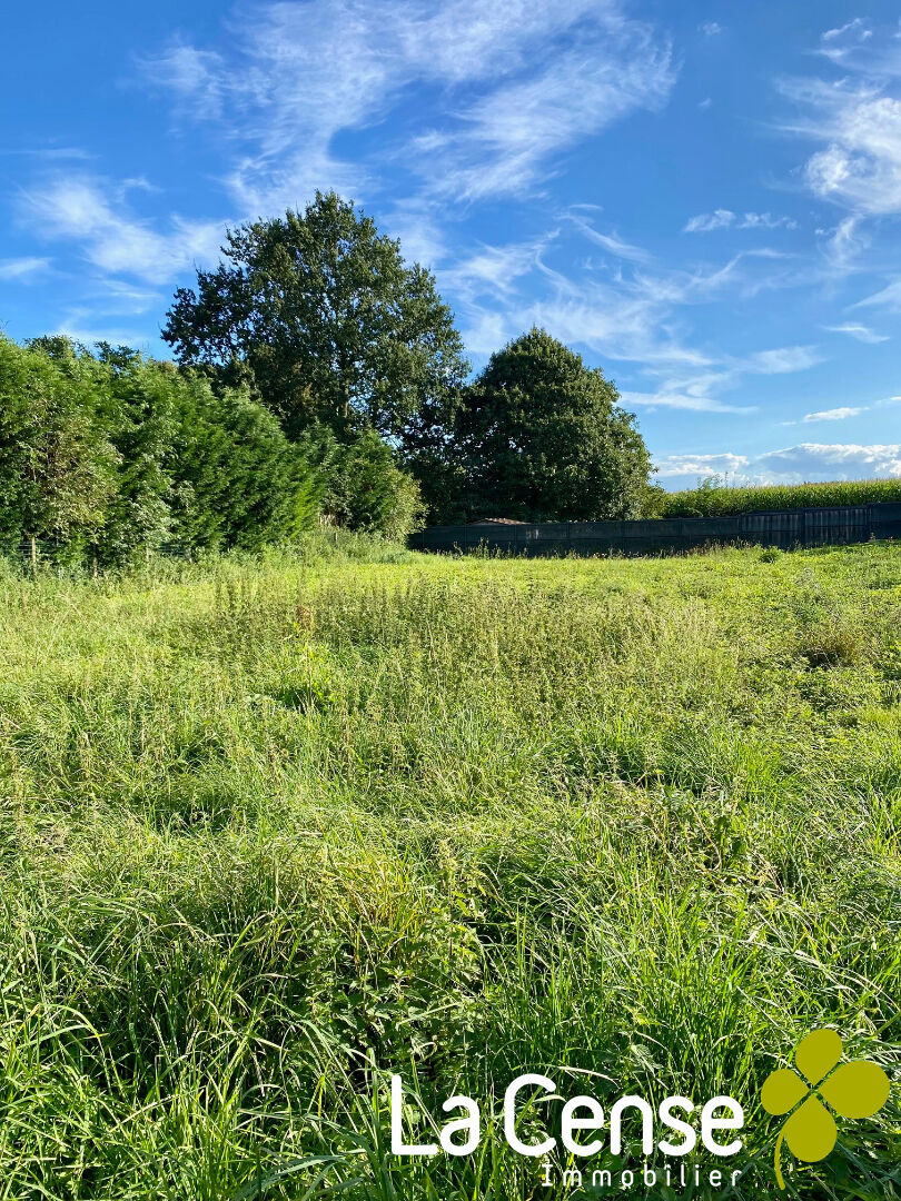 Photo EXCLUSIVITE - SECTEUR CAMPHIN-EN-PEVELE image 2/2