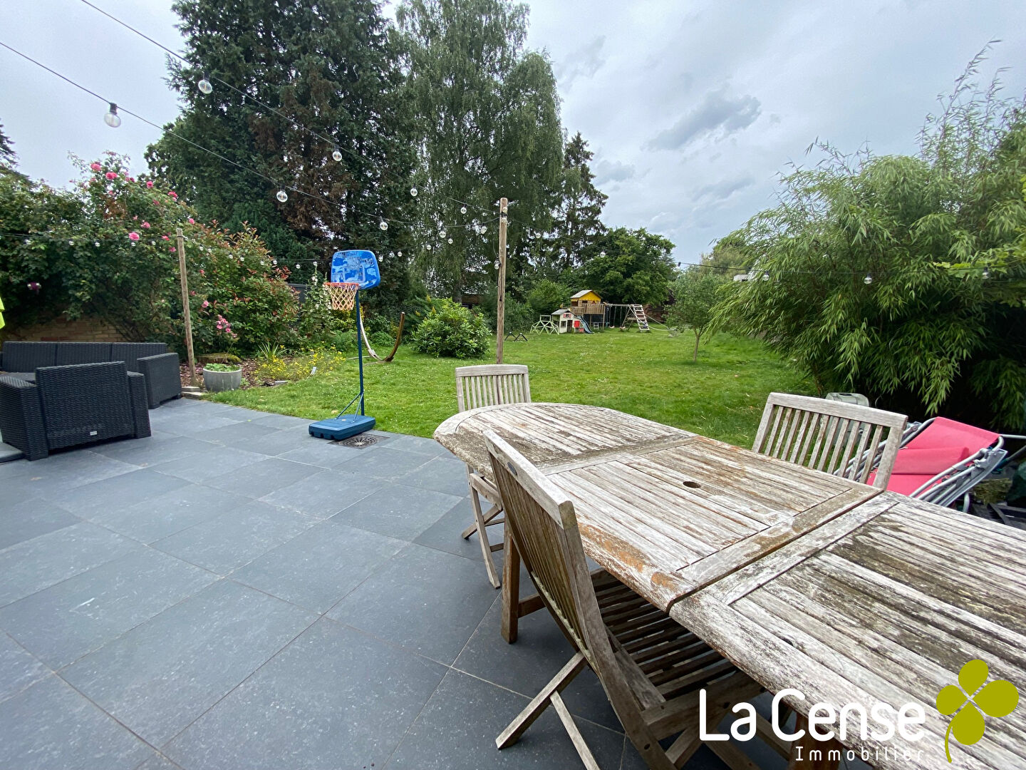 Photo WILLEMS image 6/6