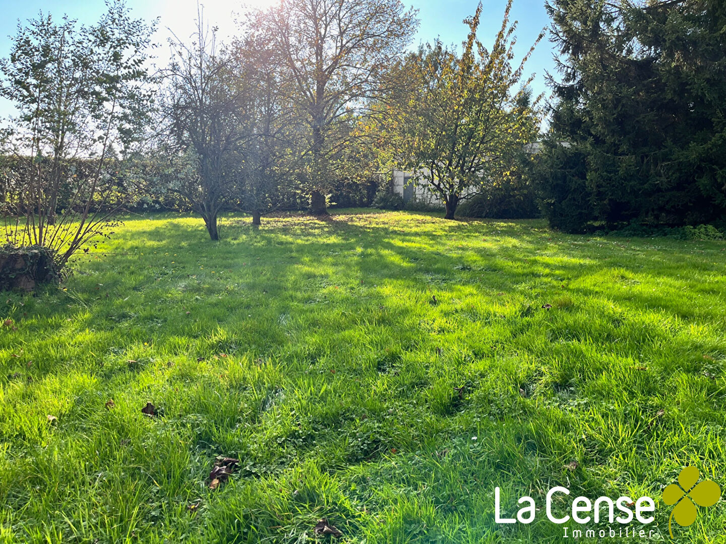 Photo CHERENG image 2/6