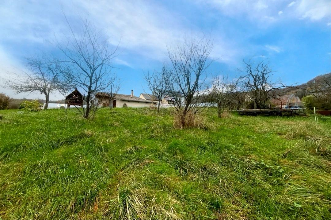 Photo Terrain Budling 387 m2 image 3/4